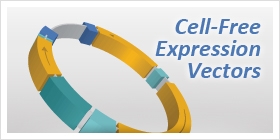 Cell-Free Expression Vectors